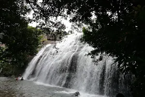 Aanachadikuthu Waterfalls image