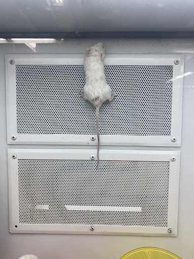 Pet Supply Store «Petco Animal Supplies», reviews and photos, 1090 Fort Union Blvd, Midvale, UT 84047, USA