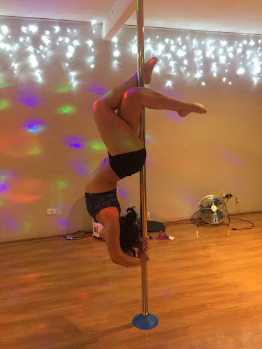 Opiniones de Body and Pole en Viña del Mar - Escuela de danza