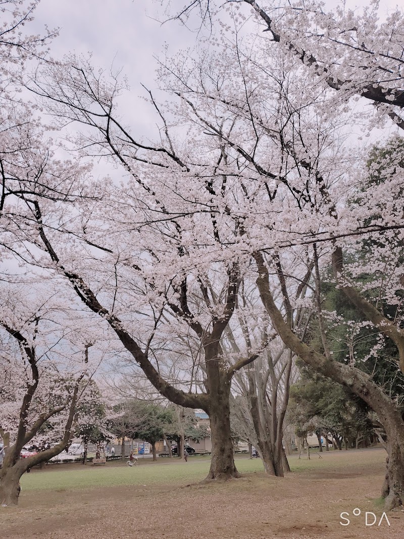 千葉公園 駐車場