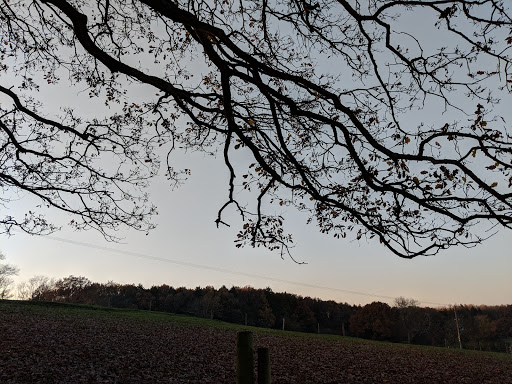 Bucklebury Farm & Deer Safari Park