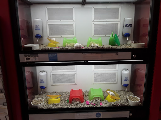 Craft Store «Michaels», reviews and photos, 31080 Dyer St, Union City, CA 94587, USA