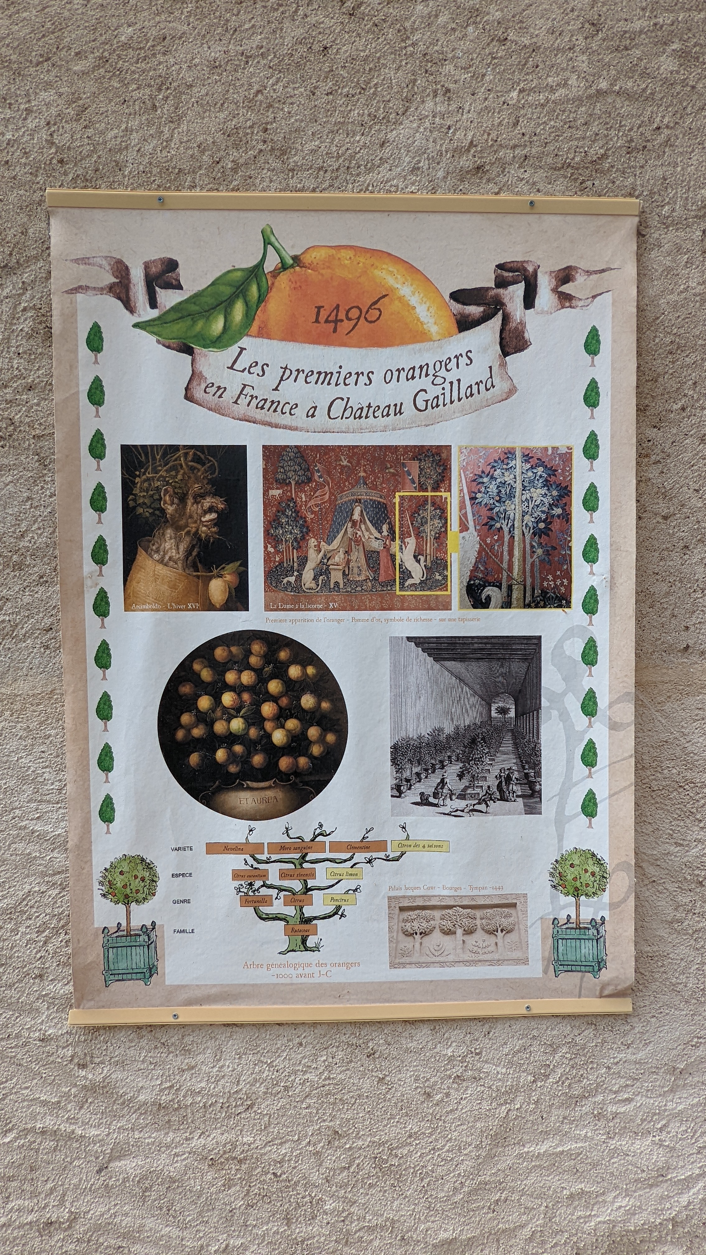 Photo n° 13 de l'avis de David.o fait le 02/08/2022 à 11:53