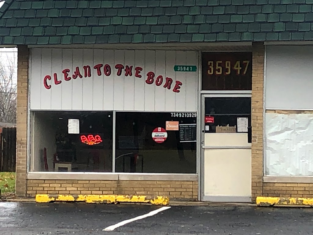 Clean to the Bone 48174