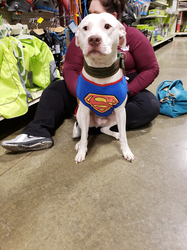 Pet Supply Store «PetSmart», reviews and photos, 8500 N Evanston Ave, Kansas City, MO 64157, USA