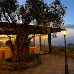 Photo n°5 de l'avis de Krisztina.� fait le 27/07/2023 à 22:06 sur le  Uliveto garden à Pomarelli