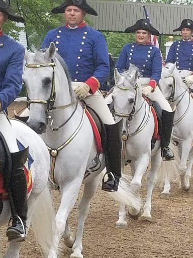 Tourist Attraction «The Tempel Lipizzans», reviews and photos, 17000 W Wadsworth Rd, Old Mill Creek, IL 60083, USA