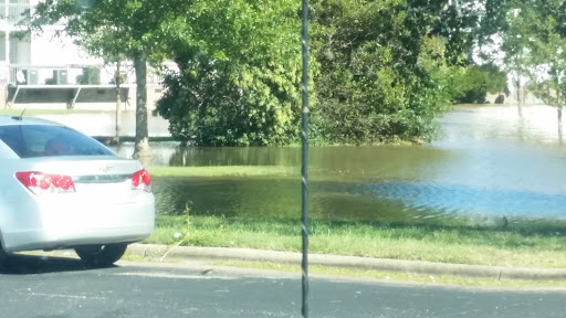 Grocery Store «Food Lion», reviews and photos, 802 Harbour W Dr, Rocky Mount, NC 27803, USA