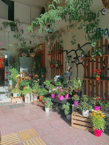 Ανθοπωλείο Χειμώνας-Καλοκαίρι - Ανθοπωλείο
