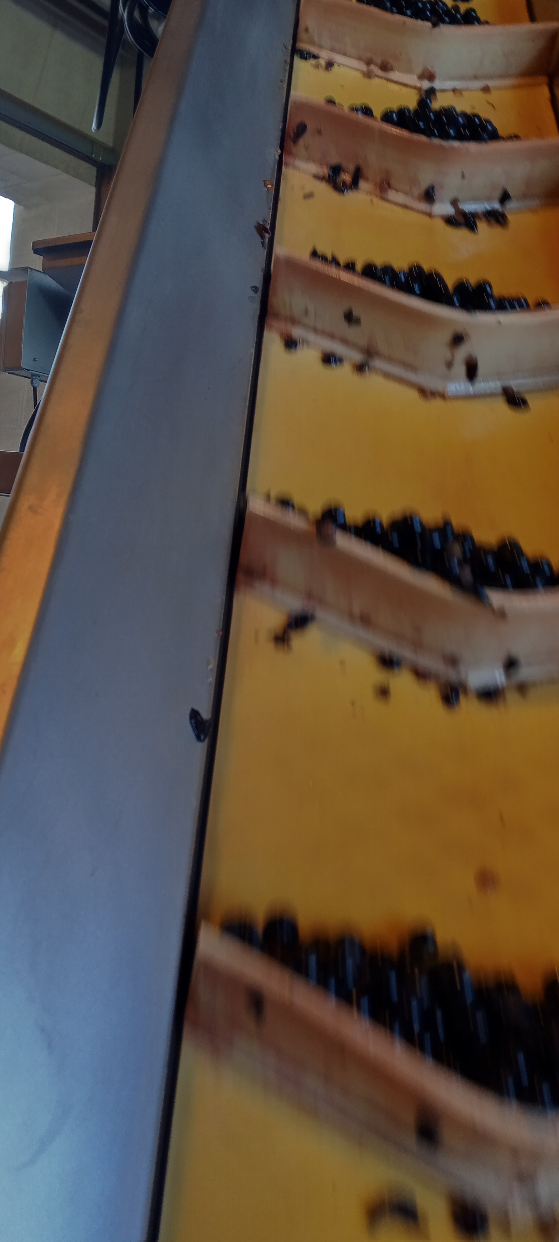 Photo n° 8 de l'avis de Manu.i fait le 30/08/2017 à 10:07