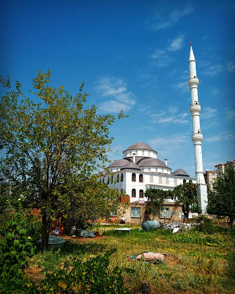 Selman Farisi Cami logo