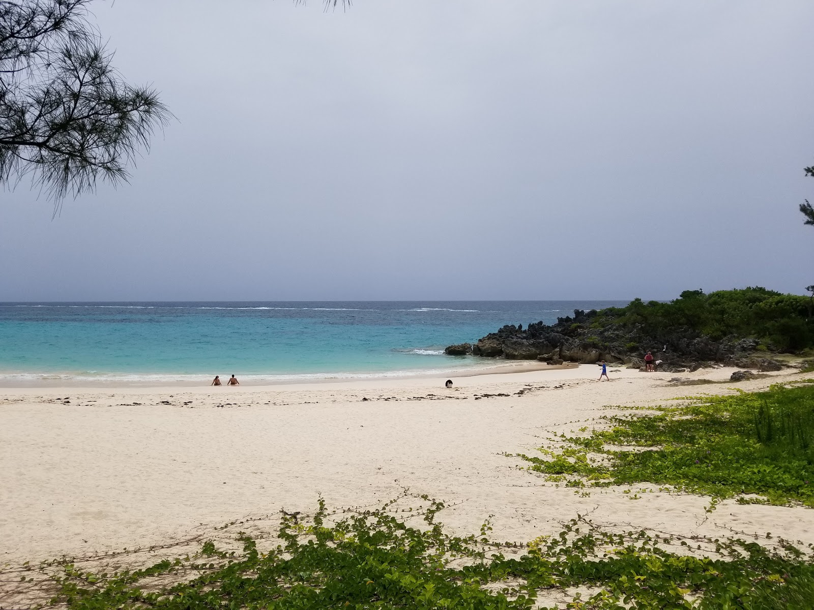 Φωτογραφία του John Smith's Bay Beach και το όμορφο τοπίο του