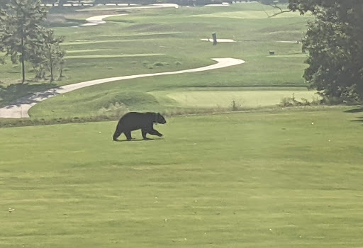 Golf Course «Keney Park Golf Course», reviews and photos, 171 Windsor Ave, Windsor, CT 06095, USA