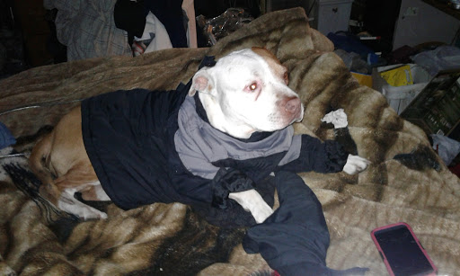 Used Car Dealer «Auto Exporters», reviews and photos, 7051 2100 S, West Valley City, UT 84128, USA