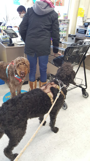 Pet Supply Store «Petco Animal Supplies», reviews and photos, 41 Narrows Shopping Center, Edwardsville, PA 18704, USA