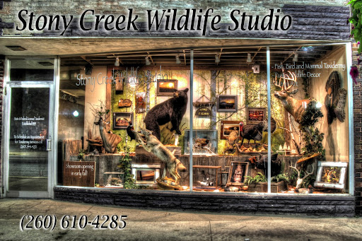 Stony Creek Wildlife Studio