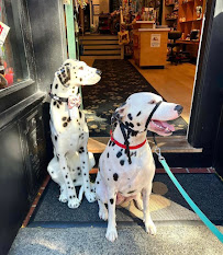 Paws On Charles - Photo 8 - Car repair in Boston, MA, Boston