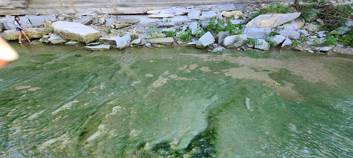 Memorial Park «Harrington Park», reviews and photos, 1815 S Cockrell Hill Rd, Duncanville, TX 75137, USA