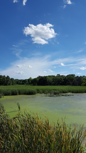 Nature Preserve «Lincoln Marsh», reviews and photos, Harrison Ave & Pierce Ave, Wheaton, IL 60187, USA