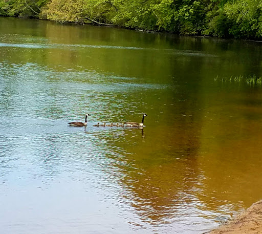 Park «Stoddard Park», reviews and photos, Norfolk St, Holliston, MA 01746, USA