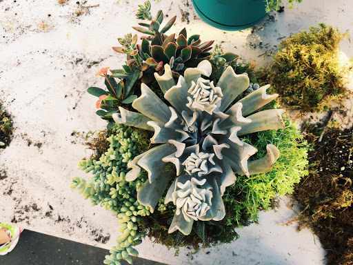 Hardware Store «San Andres Hardware», reviews and photos, 635 W Micheltorena St, Santa Barbara, CA 93101, USA