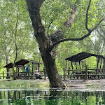 Photo n°3 de l'avis de Giusy.i fait le 23/02/2024 à 01:42 sur le  Parco del Grassano à San Salvatore Telesino