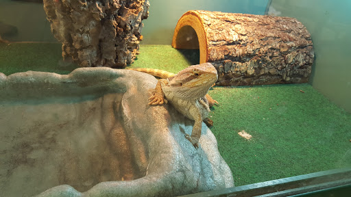 Pet Supply Store «Pet Supplies Plus», reviews and photos, 4922 Portage St NW, North Canton, OH 44720, USA