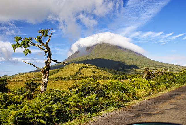 Ekskurs-azores - Ponta Delgada