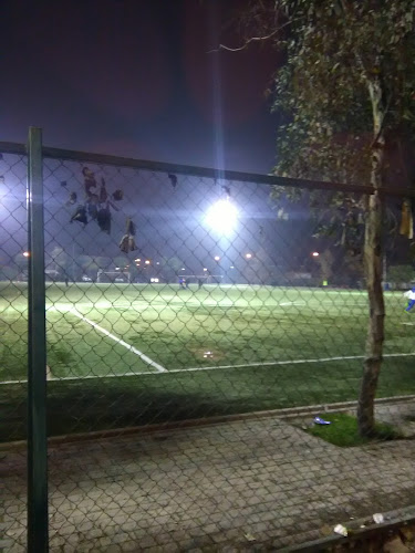 Opiniones de Cancha De Fútbol De Villa O'Higgins. en La Serena - Campo de fútbol
