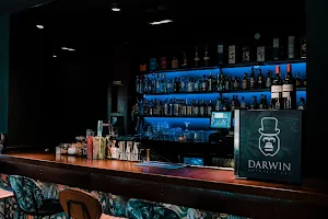 Darwin Cocktail Bar image