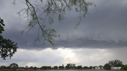 Park «Easterlin Park», reviews and photos, 1000 NW 38th St, Oakland Park, FL 33309, USA