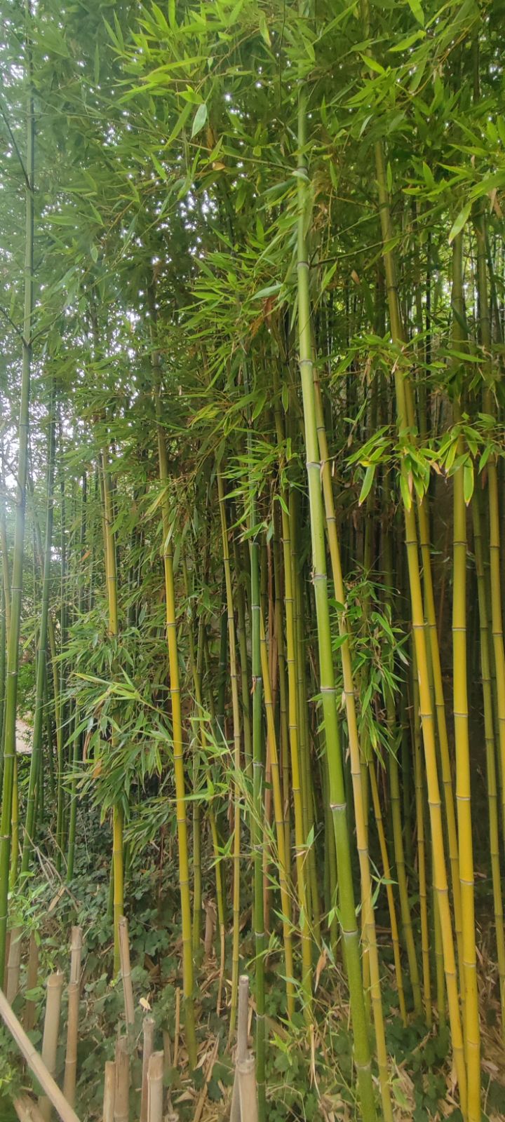 Photo n° 9 de l'avis de Maryline.a fait le 29/08/2023 à 19:52