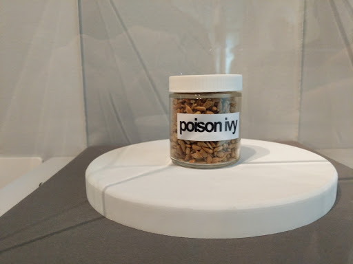 Museum «Staten Island Museum», reviews and photos, 75 Stuyvesant Pl, Staten Island, NY 10301, USA