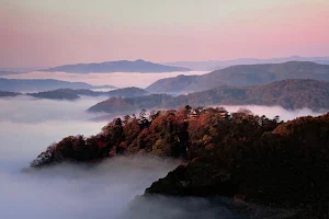 Bitchu Matsuyama Castle observatory image