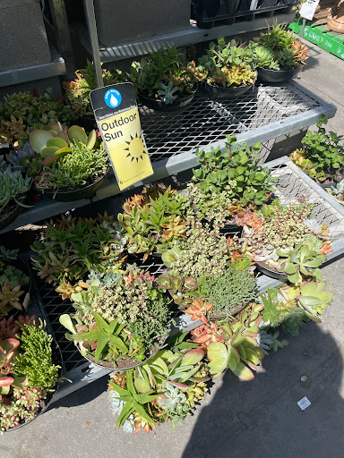 Home Improvement Store «The Home Depot», reviews and photos, 480 E Hamilton Ave, Campbell, CA 95008, USA