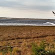 Bandon Marsh National Wildlife Refuge