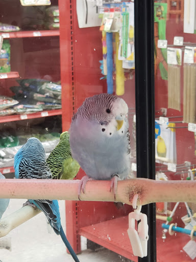 Pet Supply Store «Petco Animal Supplies», reviews and photos, 3444 S Mooney Blvd, Visalia, CA 93277, USA