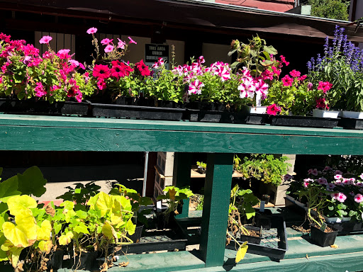 Home Improvement Store «True Value Hardware Of Guerneville», reviews and photos, 15600 River Rd, Guerneville, CA 95446, USA