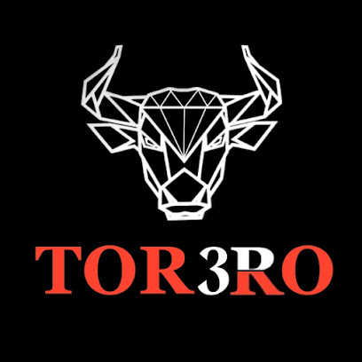 torero3d
