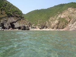 Plage Sahal'in fotoğrafı vahşi alan
