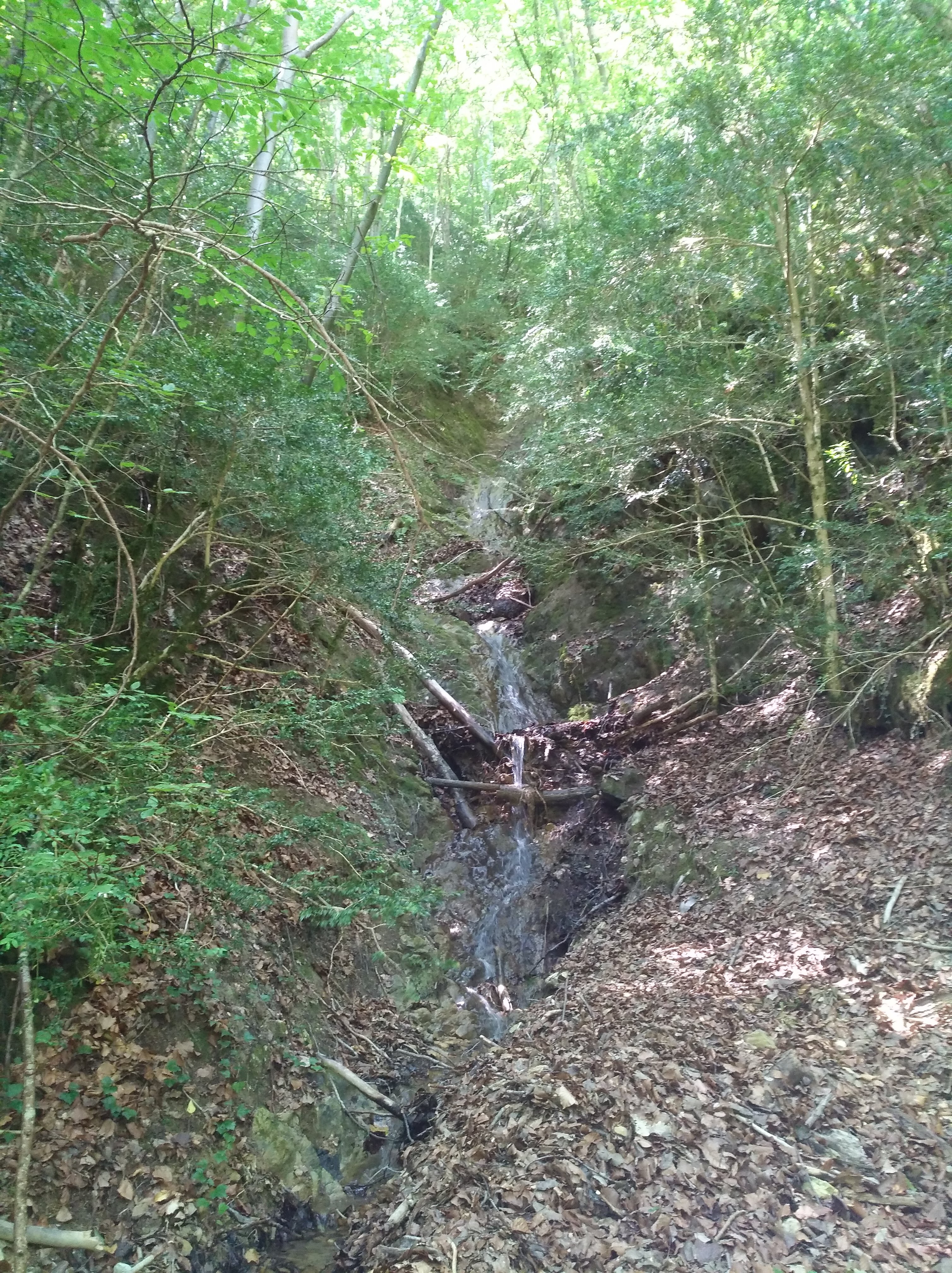 Photo n° 29 de l'avis de Nadine.o fait le 17/07/2018 à 15:02
