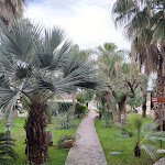 Photo n°6 de l'avis de Savana. fait le 07/06/2023 à 07:25 sur le  White City Country Resort à Ostuni