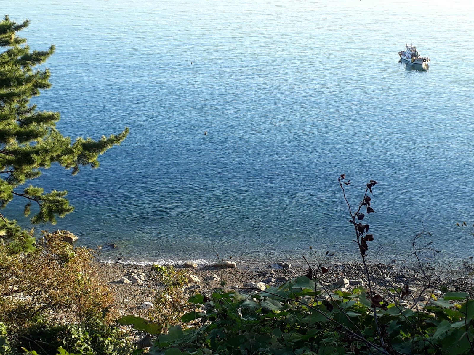 Mijo-myeon Beach的照片 带有碧绿色纯水表面