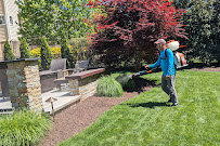 Mosquito Scout - Photo 6 - Car repair in North Chesterfield, VA, Richmond