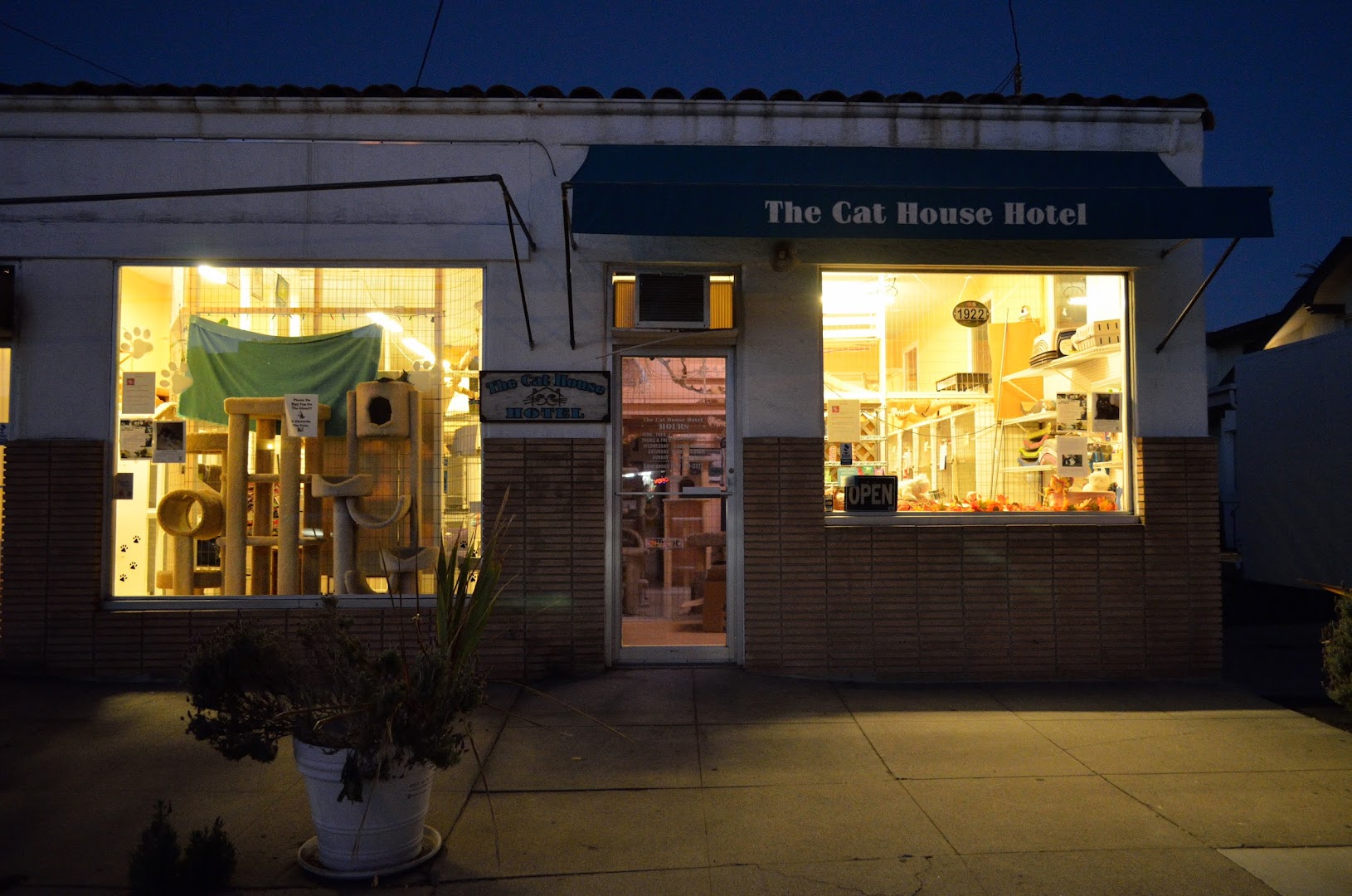 Cat House Hotel