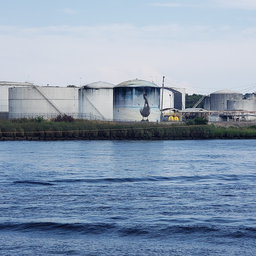 Cruise Agency «Cape Fear Riverboats», reviews and photos, 101 S Water St #1, Wilmington, NC 28401, USA