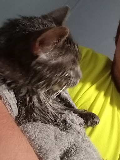 Pet Supply Store «PetSmart», reviews and photos, 10697 E US Hwy 36, Avon, IN 46123, USA