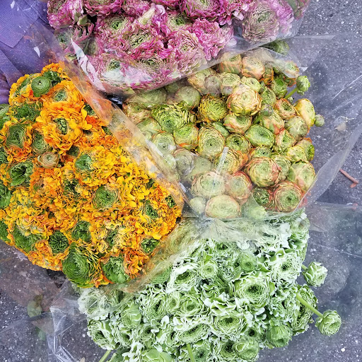 Florist «The JillTed Florist», reviews and photos, 1425 S Ft Harrison Ave, Clearwater, FL 33756, USA