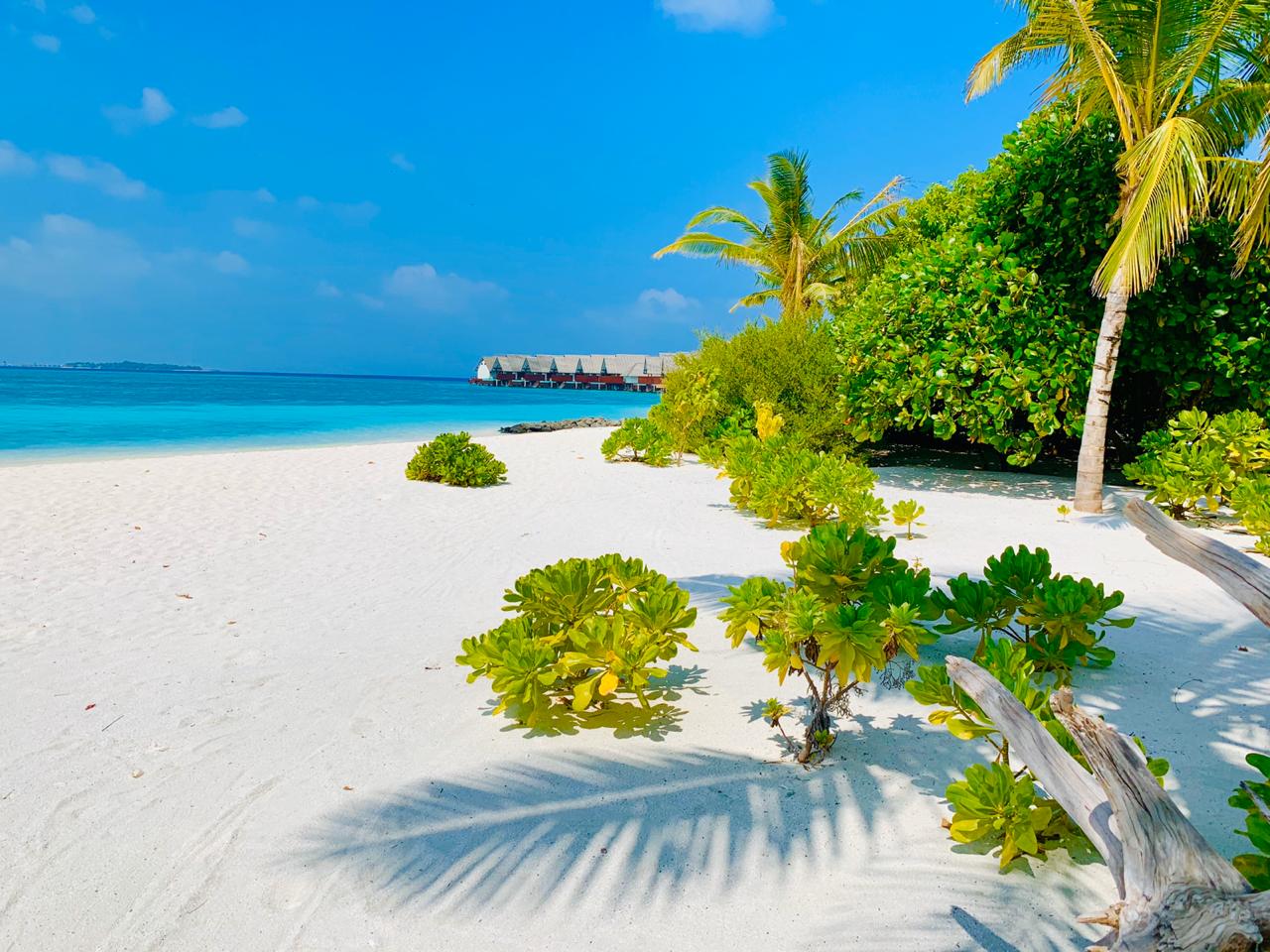 Foto af Aarah Island Strand og bosættelsen