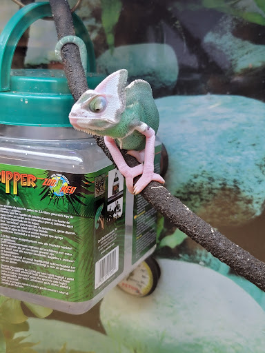 Pet Supply Store «Petco Animal Supplies», reviews and photos, 65 Taunton Depot Dr A, Taunton, MA 02780, USA